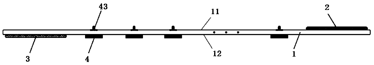 Electrode band, electrode structure, feed line and electrical impedance imaging equipment