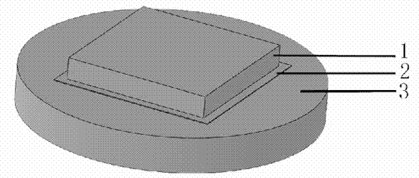 Simple preparation method for metallographic phase sample of silicon wafer