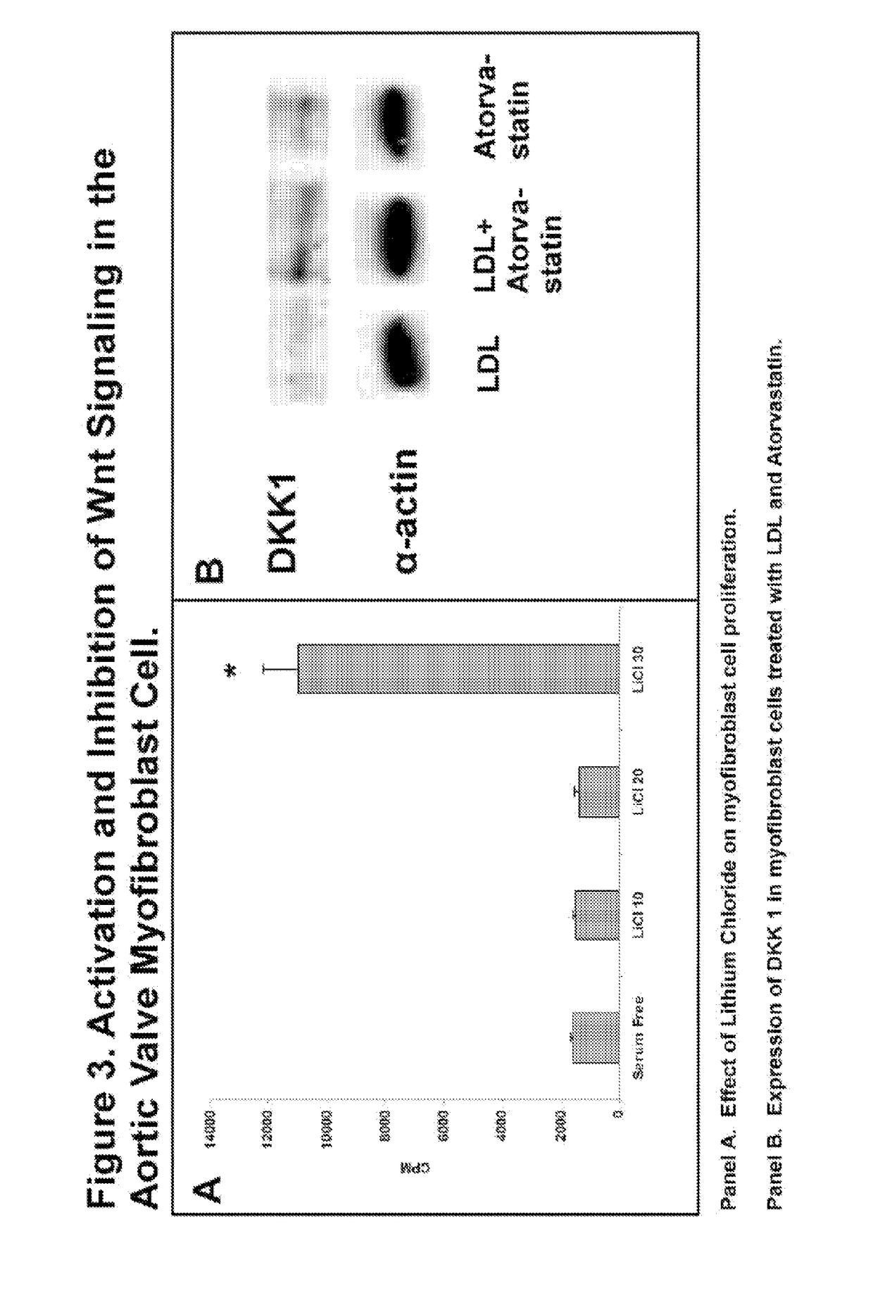 Devices and methods for inhibiting stenosis, obstruction, or calcification of a native heart valve, stented heart valve or bioprosthesis