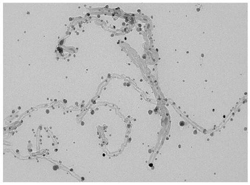 High-thermal-conductivity conductive adhesive prepared from nano-silver modified carbon nanotubes and preparation method of conductive adhesive