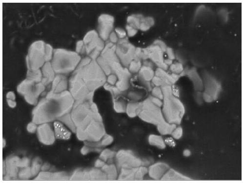 High-thermal-conductivity conductive adhesive prepared from nano-silver modified carbon nanotubes and preparation method of conductive adhesive