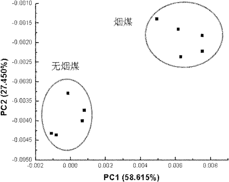 Method for measuring coal property on line based on neural network