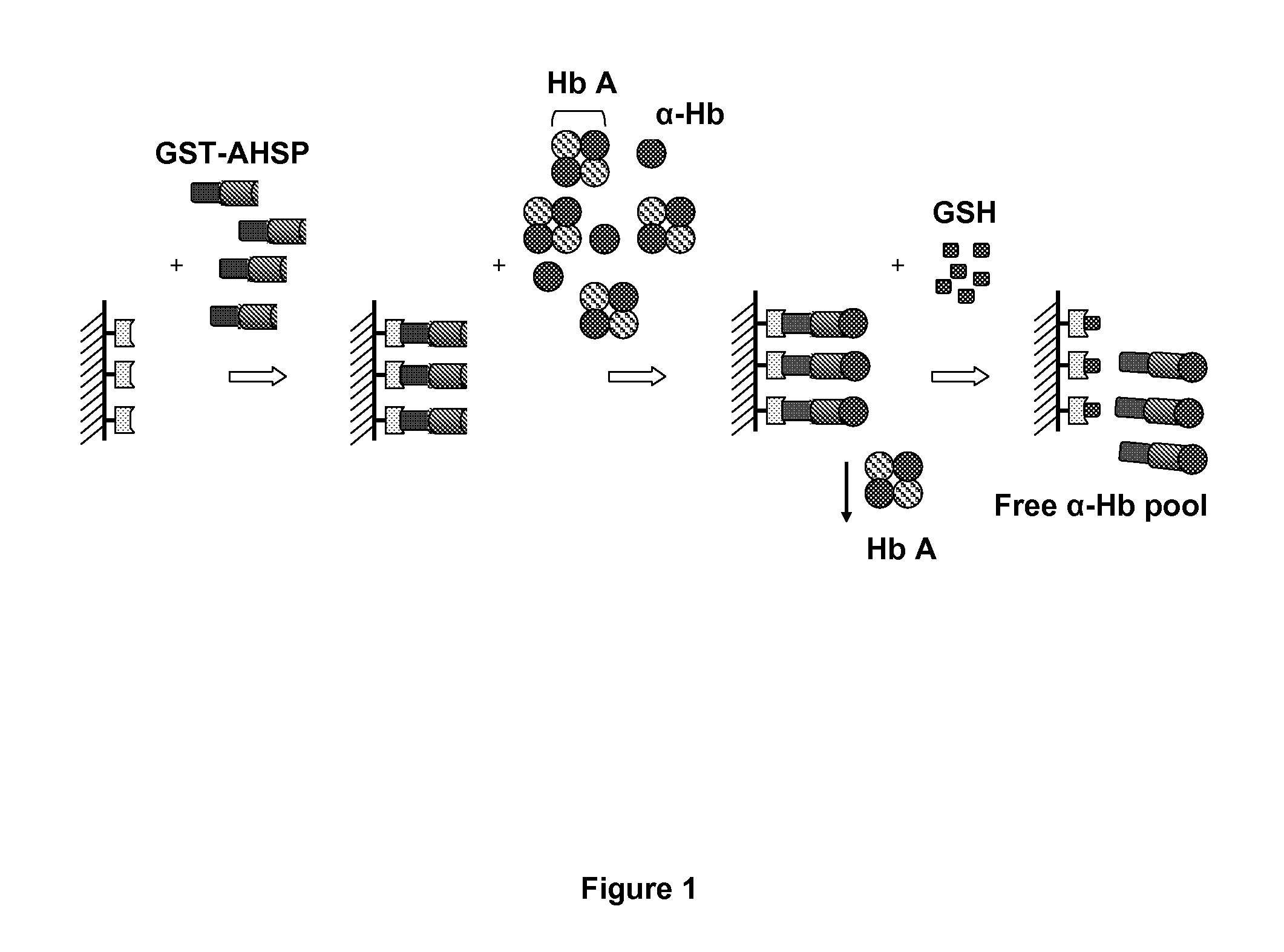 Method for diagnosing a hemoglobin-related disorder