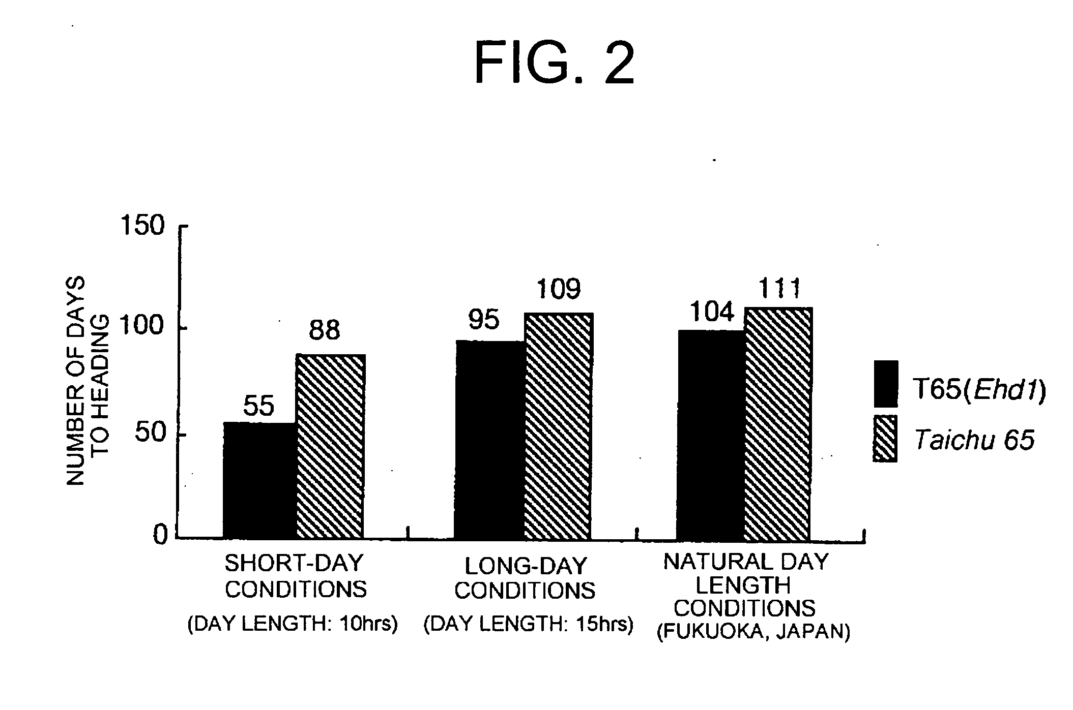 Ehd1gene promoting plant flowering, and utlization thereof