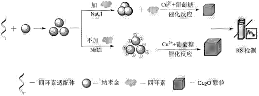 Resonance scattering spectral detection method for tetracycline based on nano-gold catalysis