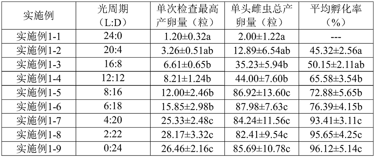 Holotrichia parallela adult and larval artificial breeding method