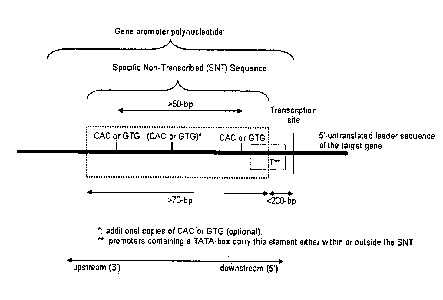 Promoter-based gene silencing