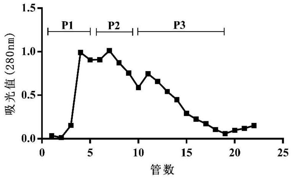 Peanut antioxidant polypeptide and preparation method thereof