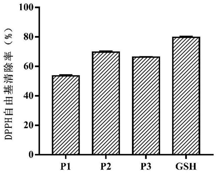 Peanut antioxidant polypeptide and preparation method thereof