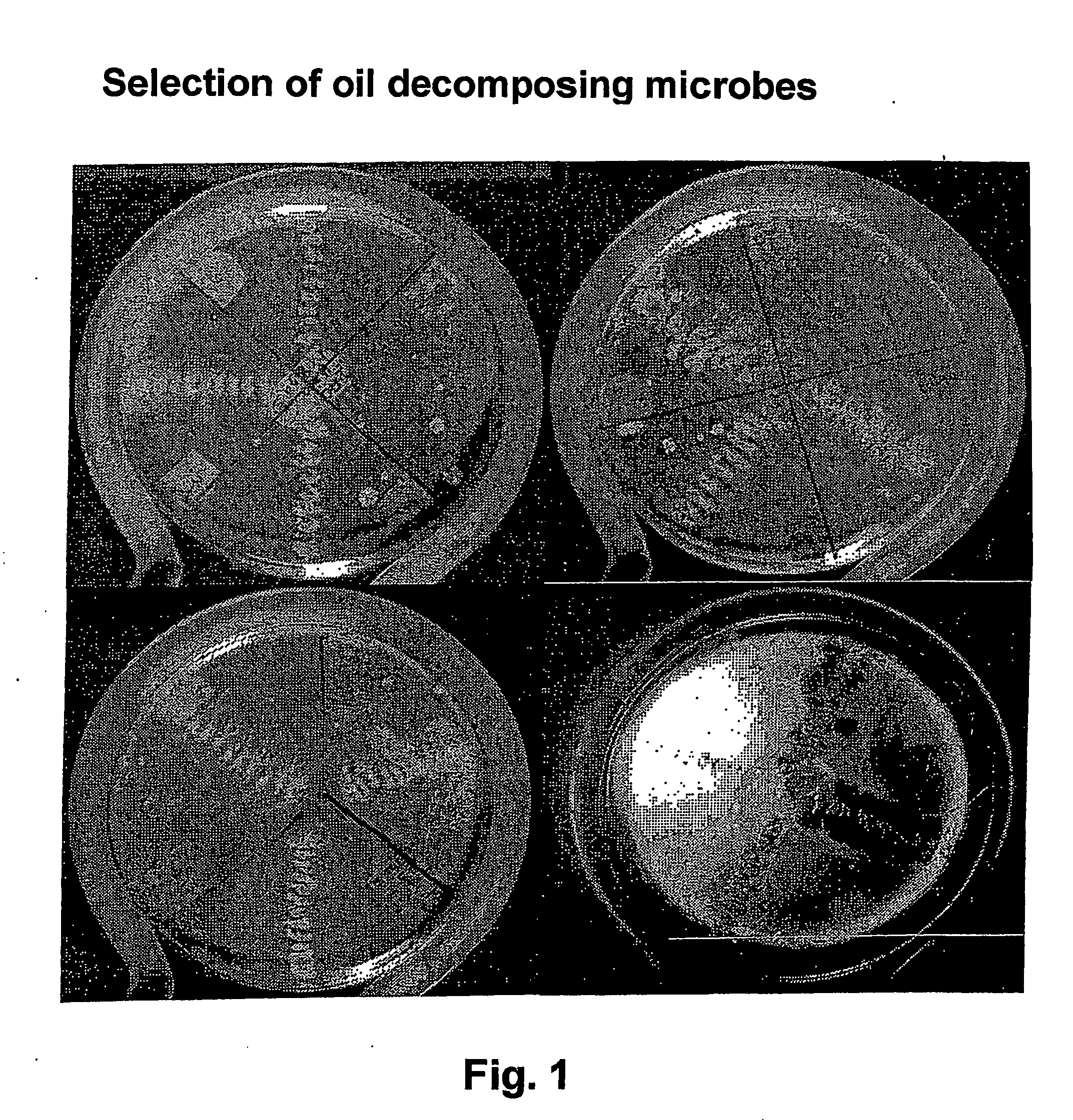 Method for the treatment and prevention of asphaltene-paraffin-vax precipitates in oil-wells, wellheads and pipelines by the use of biocolloid suspensions