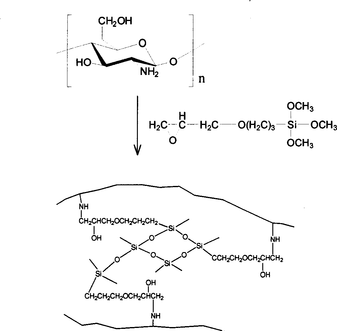 Novel silica gel loaded cross-linked chitosan adsorbent for heavy metal