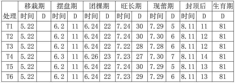 Biological organic-inorganic fertilizer suitable for Honghuadajinyuan and preparation method thereof