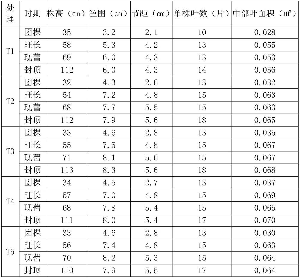 Biological organic-inorganic fertilizer suitable for Honghuadajinyuan and preparation method thereof