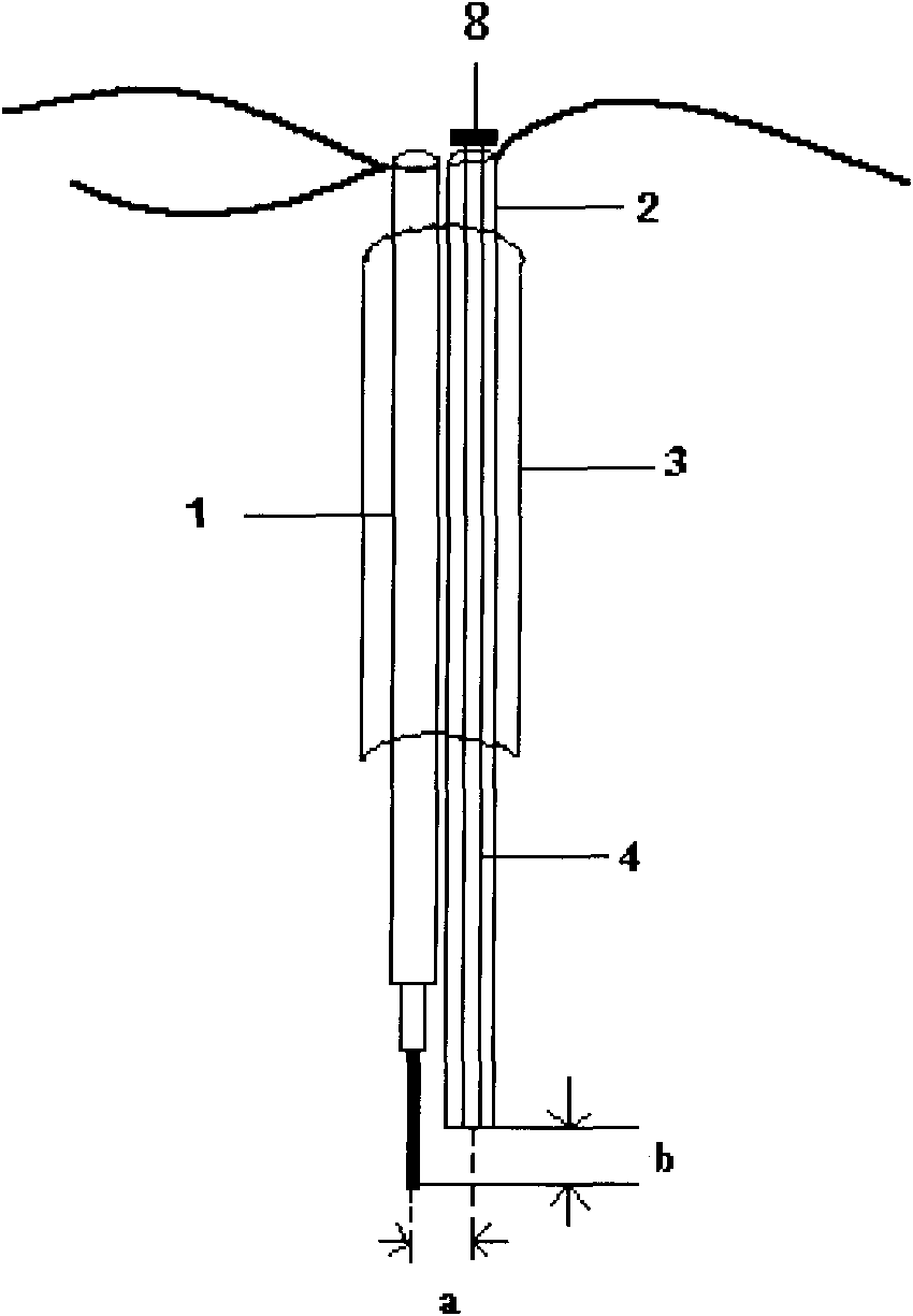 Stimulation, recording and administration combined device for research on use of hippocampal field potentials of mouse and rat