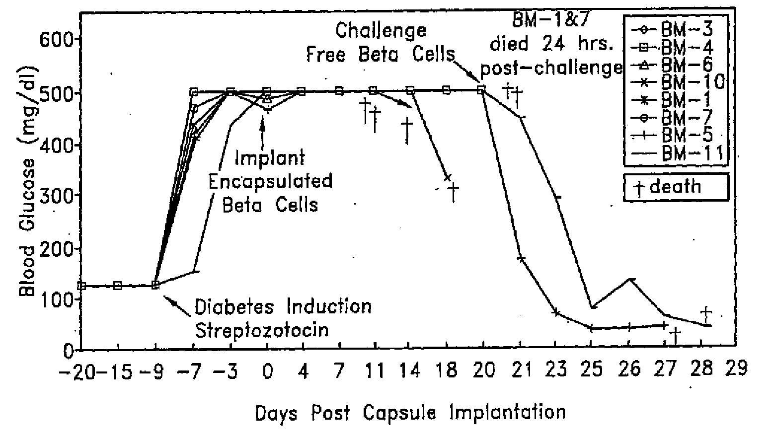 Induction of immunological tolerance