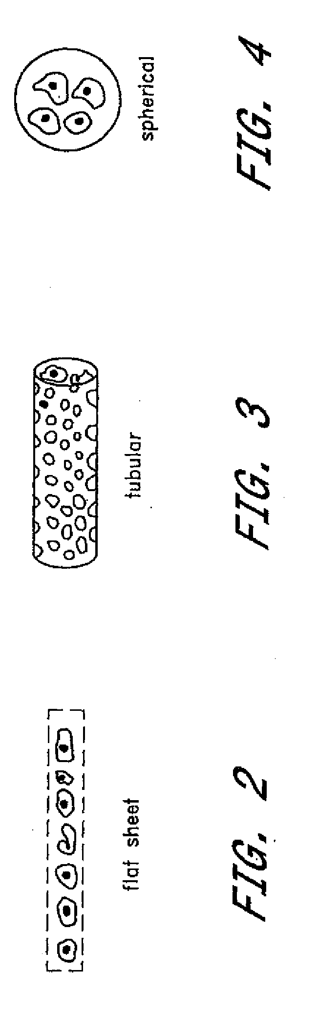 Induction of immunological tolerance