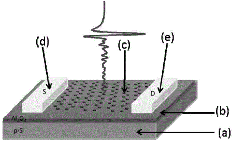 Graphene field effect transistor terahertz wave modulator and manufacture method thereof