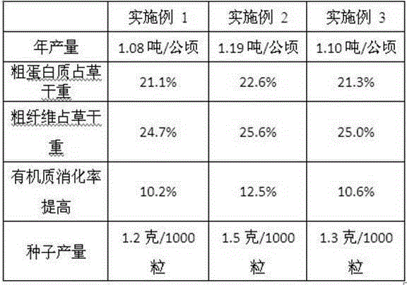 Saline-alkali soil microorganism bacterial manure and application thereof in red fescue planting