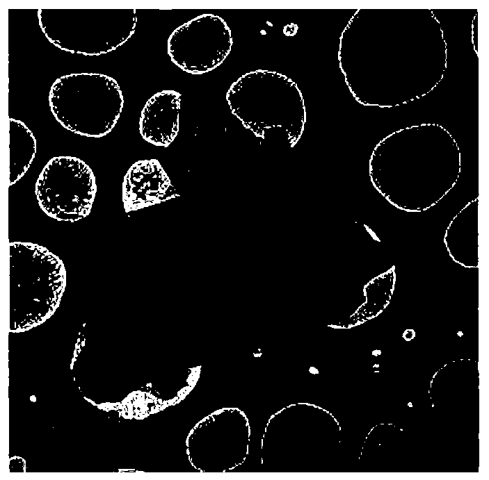 Method for reusing industrial waste carbon materials