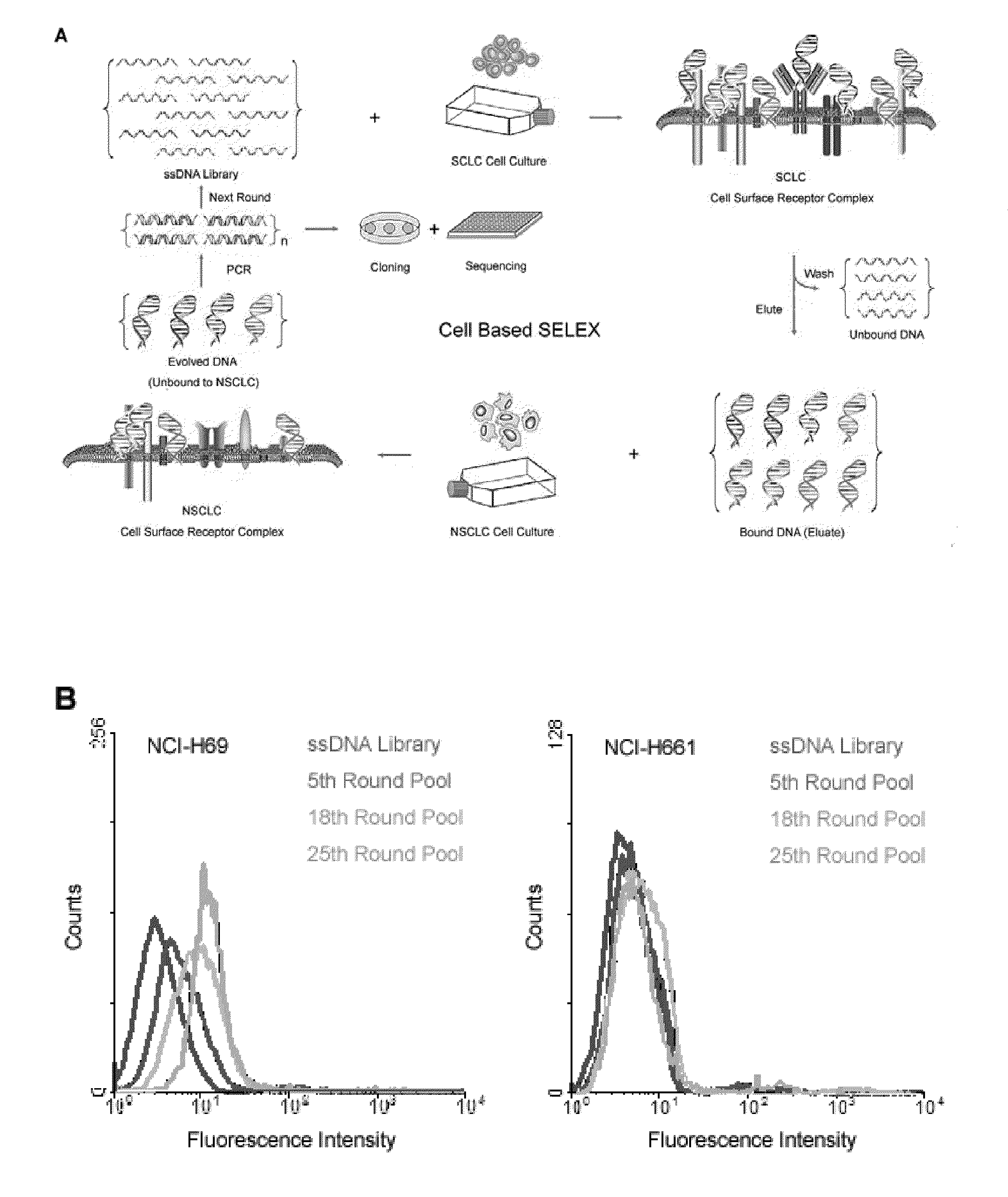 Aptamers that bind abnormal cells