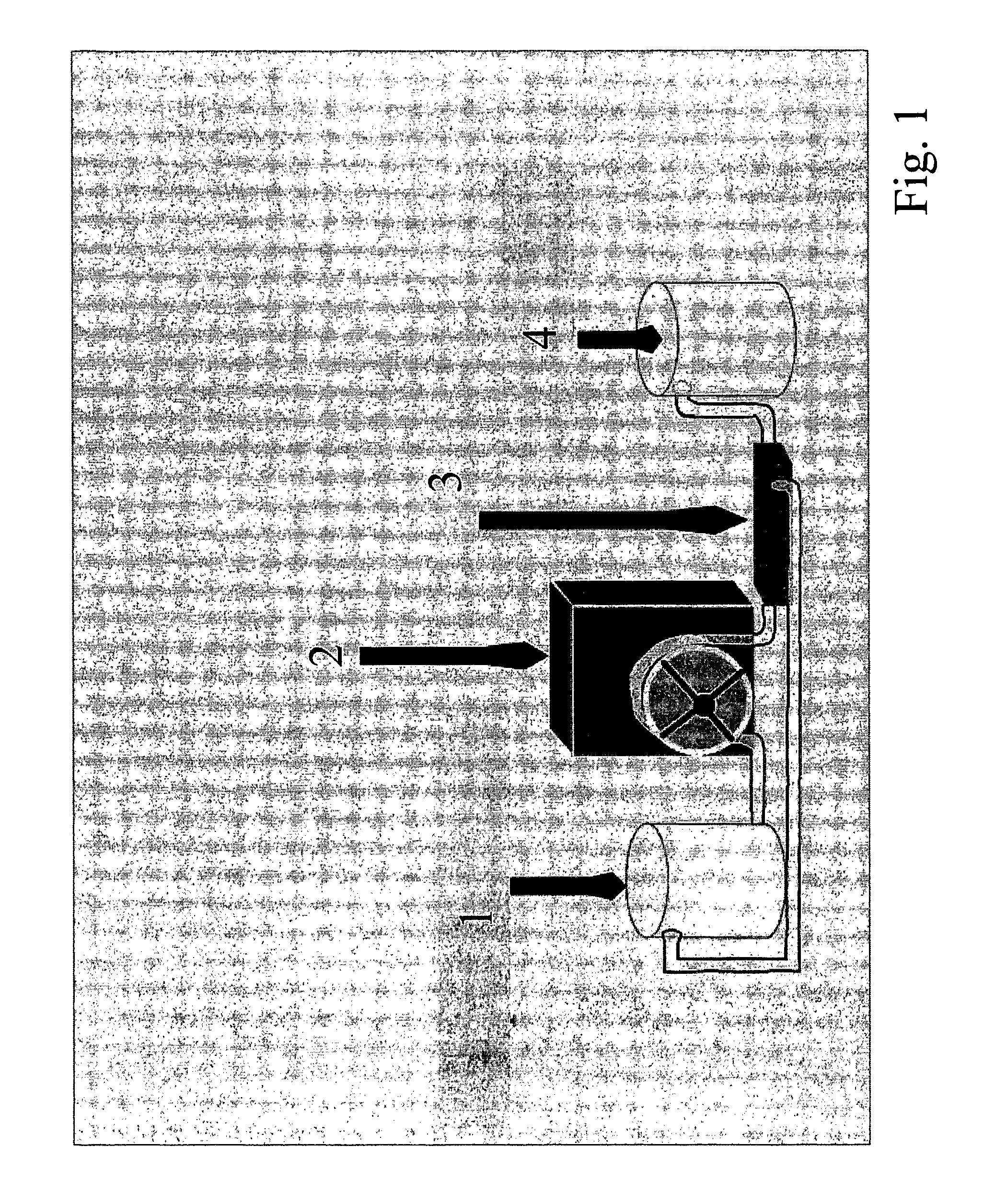 Human Milk Fortifiers and Methods for Their Production