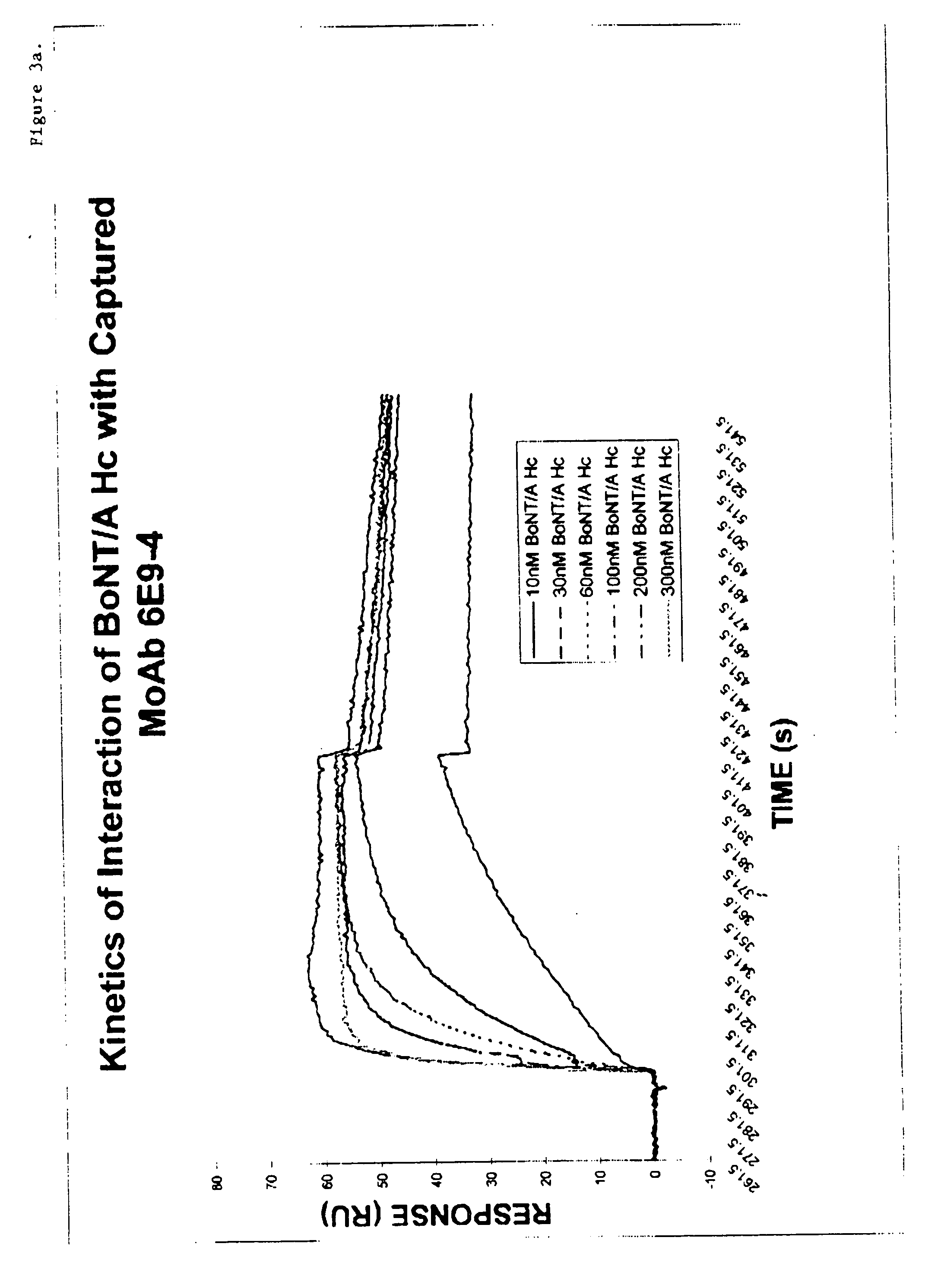 Antibodies against type A botulinum neurotoxin