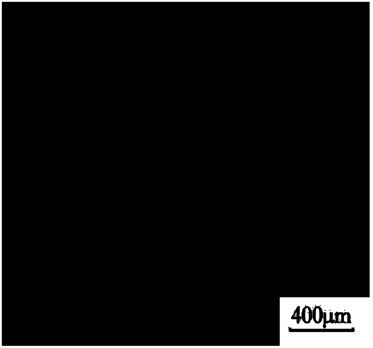 Preparation method of electroplated cadmium coating for metalwork