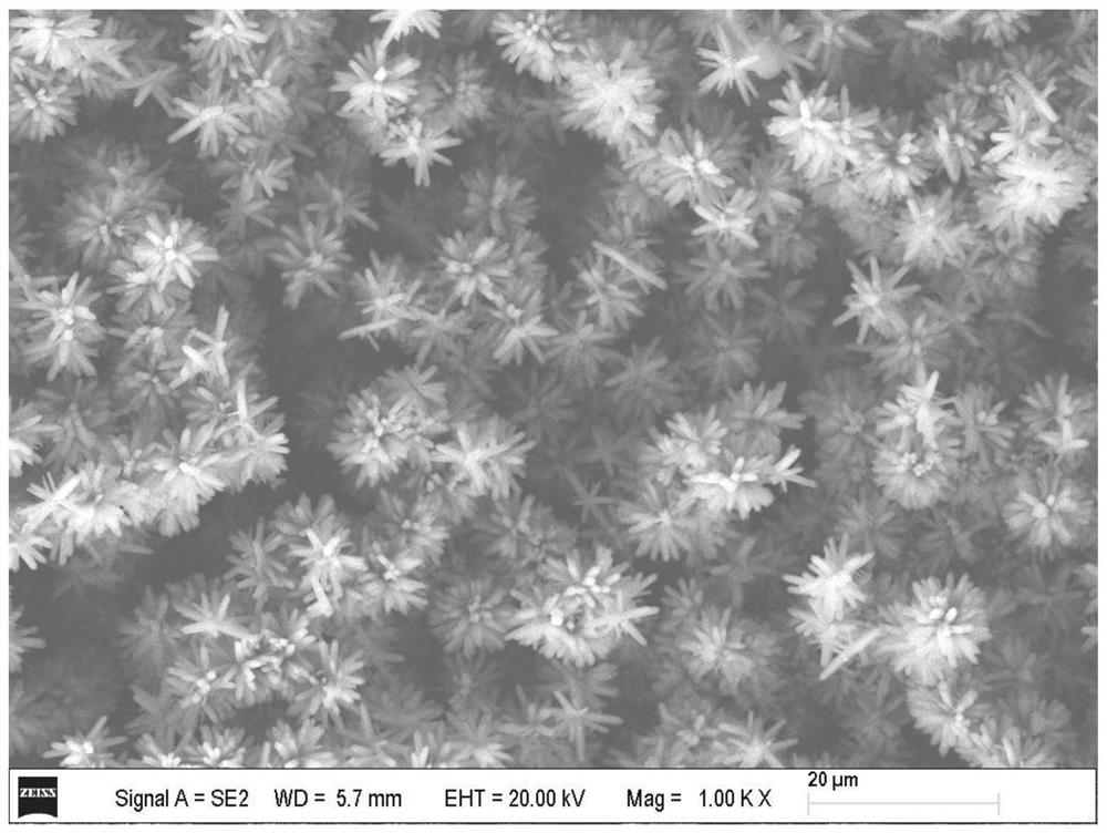 Silicon anode material with spherical thorn-like structure and preparation method thereof