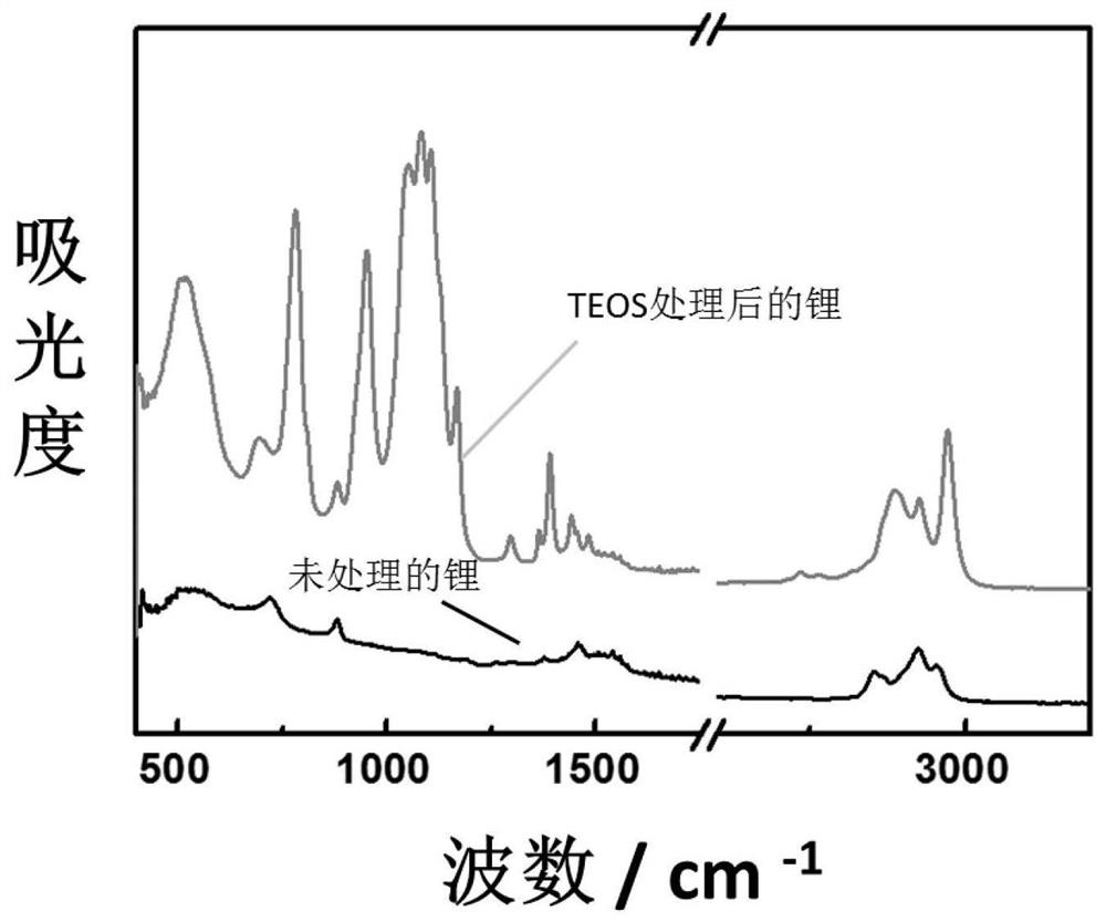 A lithium metal negative electrode and its preparation and application