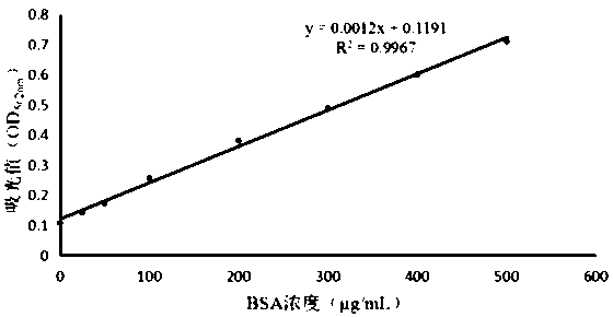 Cloning expression and application of fusion bursin