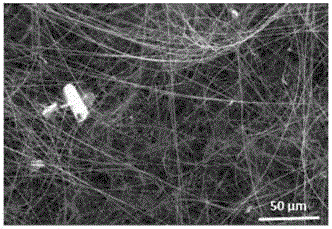 An in situ growth of Si inside 2D carbon felt  <sub>3</sub> no  <sub>4</sub> nanowire approach