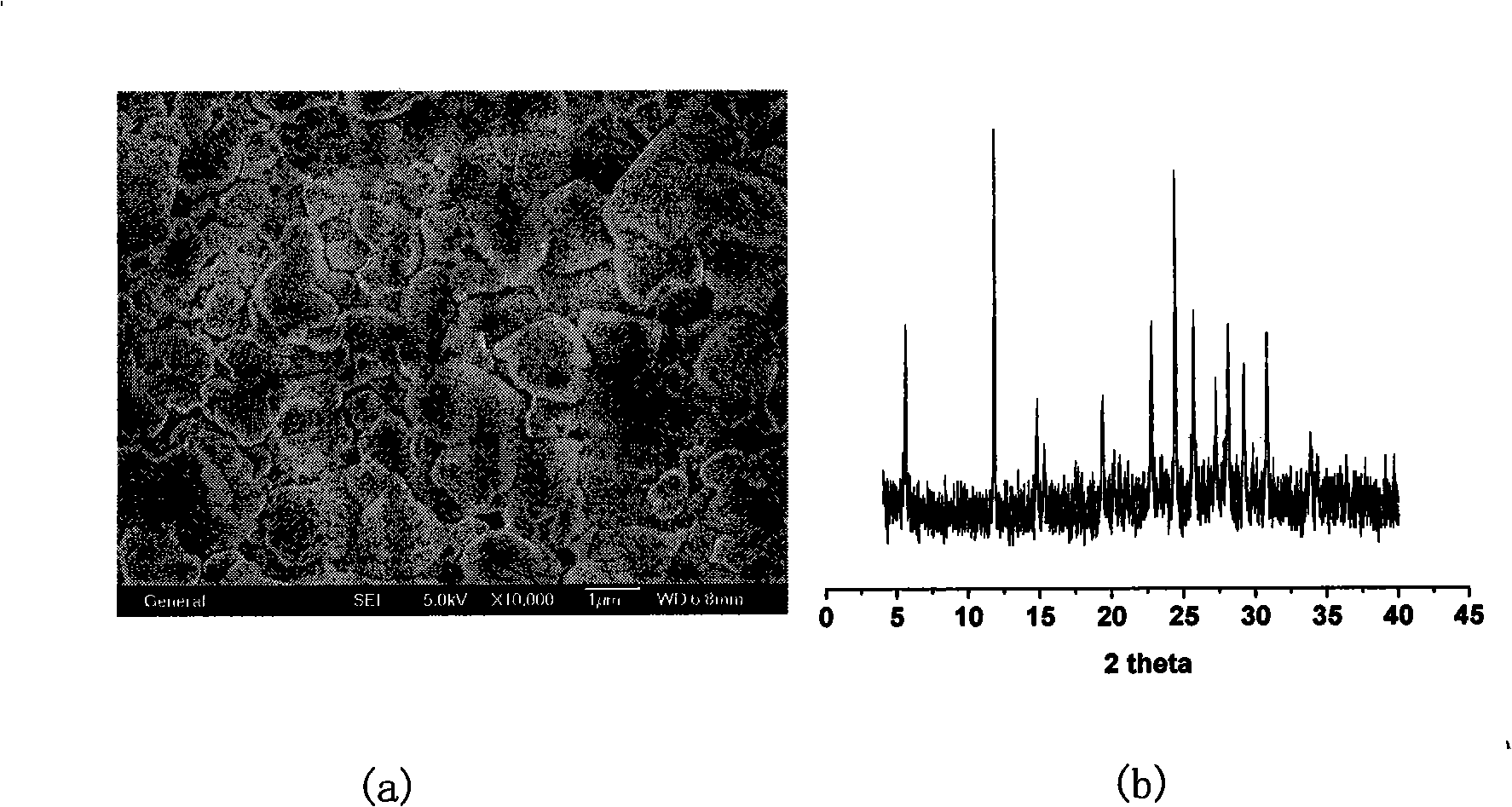 Process for preparing L- molecular sieve membranes on different carriers