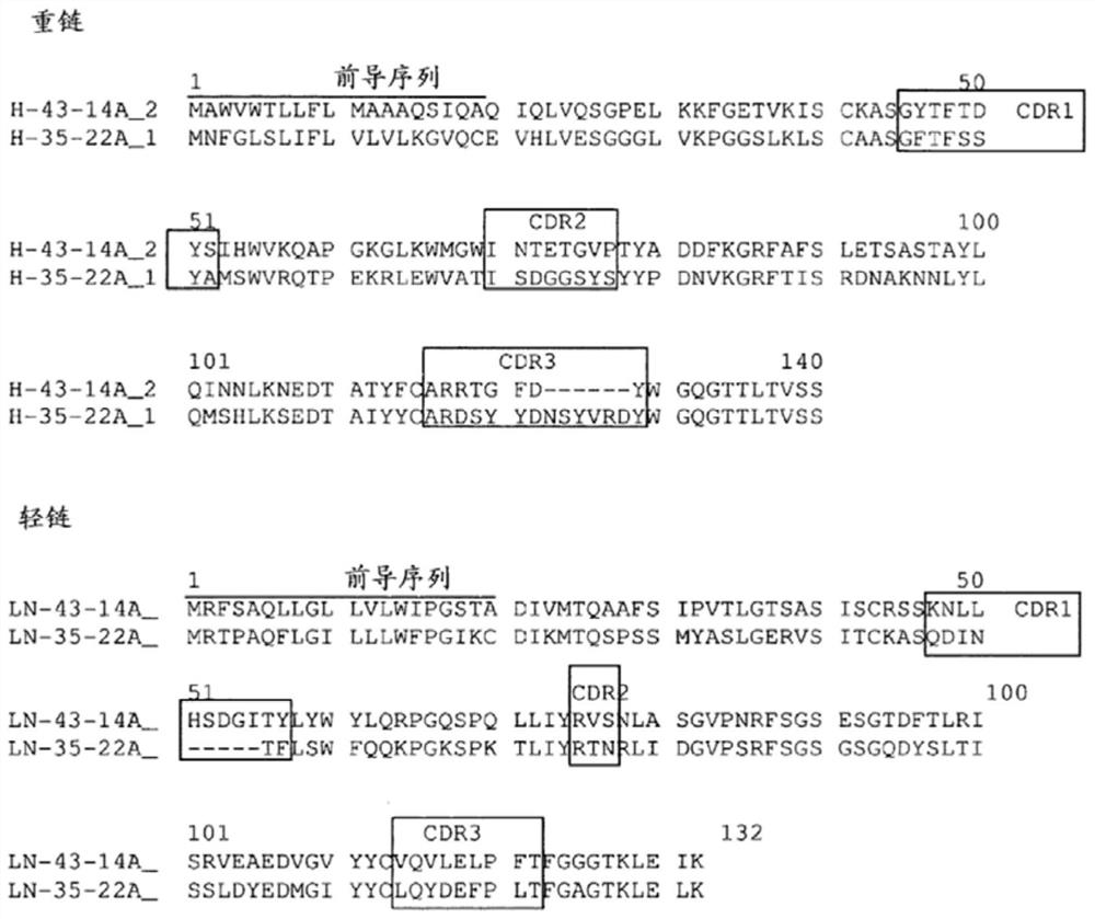 Antibodies against claudin 18.2 for cancer diagnosis