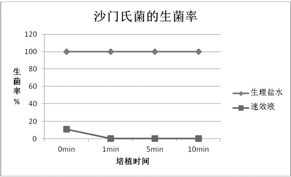 All-weather air purification paint and preparation method thereof