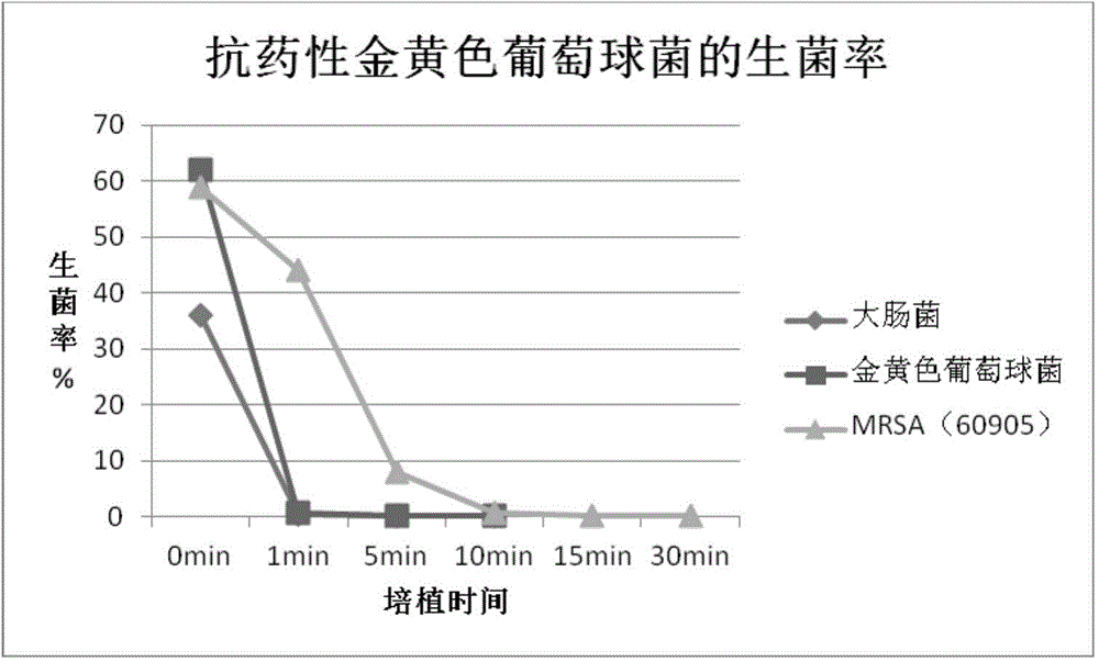 All-weather air purification paint and preparation method thereof