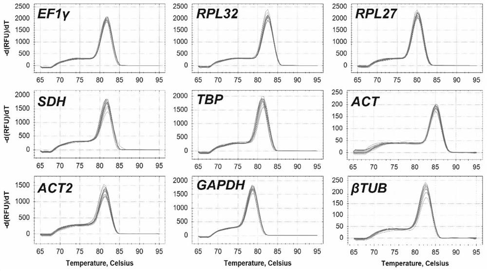 Internal reference genes stably expressed by Lygus green bug under different factors and their application