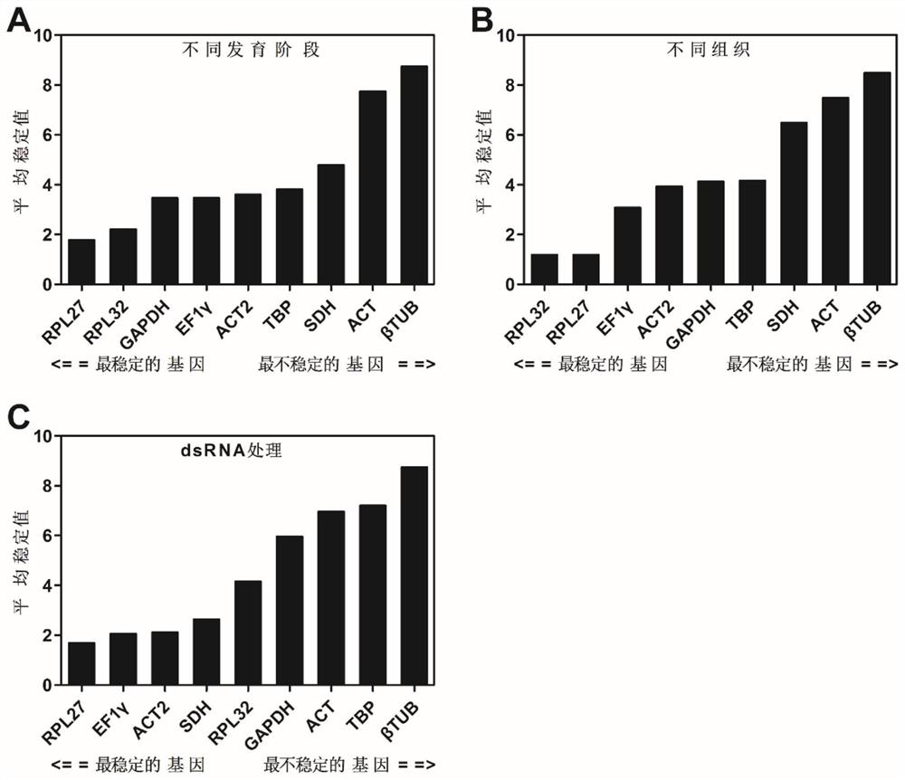 Internal reference genes stably expressed by Lygus green bug under different factors and their application