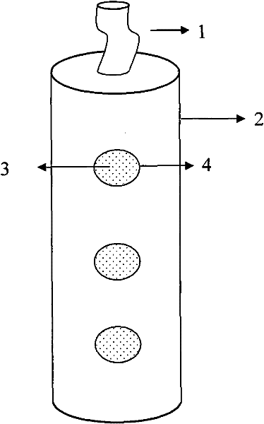 Method for rapidly increasing survival rate of artificially-restored poplar in arid desert area