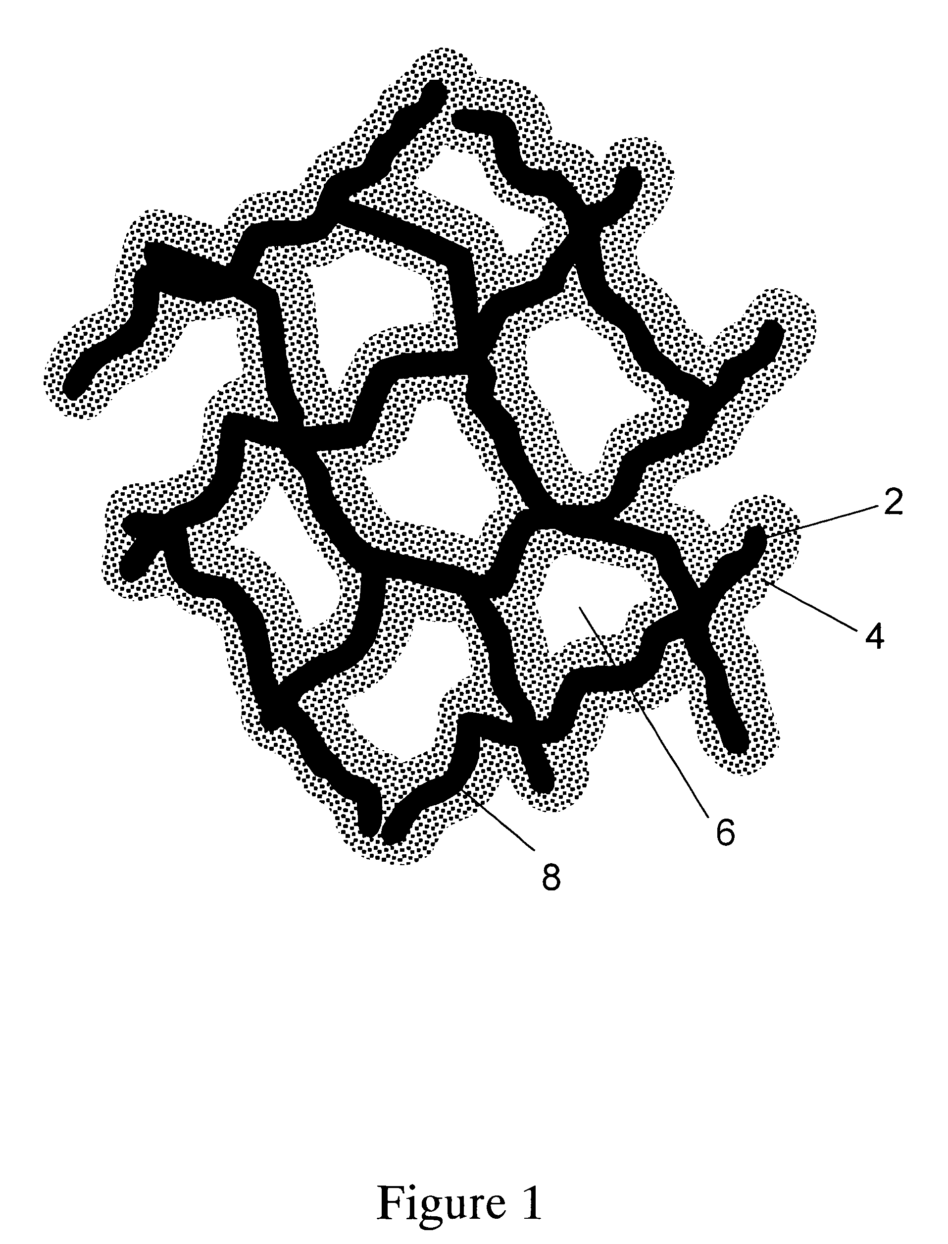 Porous adsorptive or chromatographic media