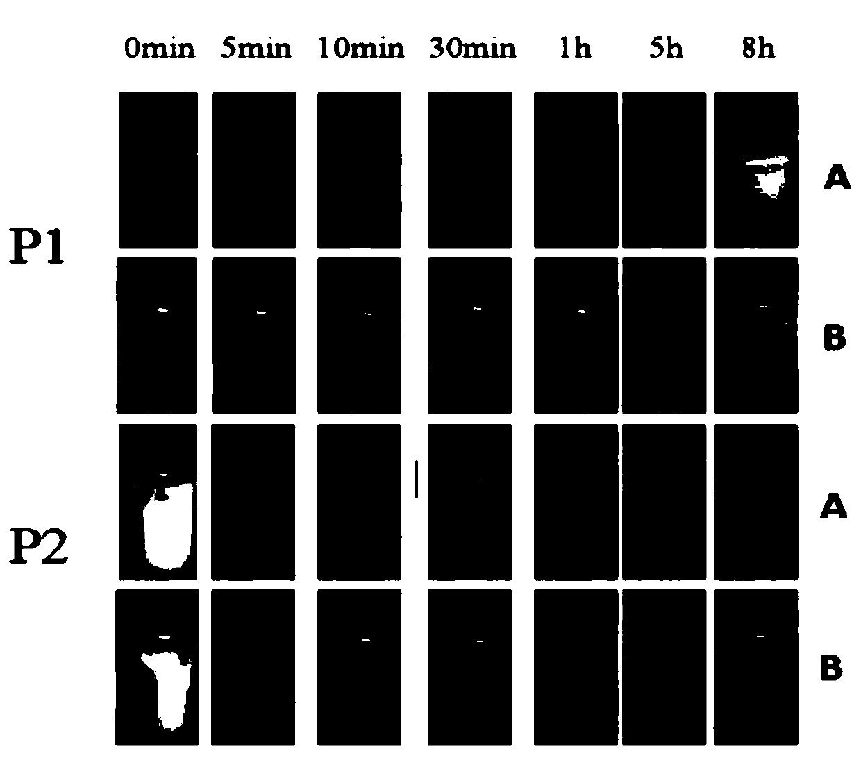 High-loading capacity polymethoxyflavones instant microcapsule powder and preparation method thereof