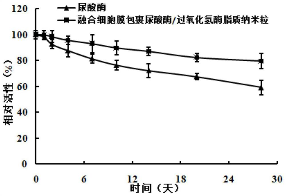 Uricase/catalase lipid nanoparticles wrapped by fusion cell membrane and preparation method of uricase/catalase lipid nanoparticles