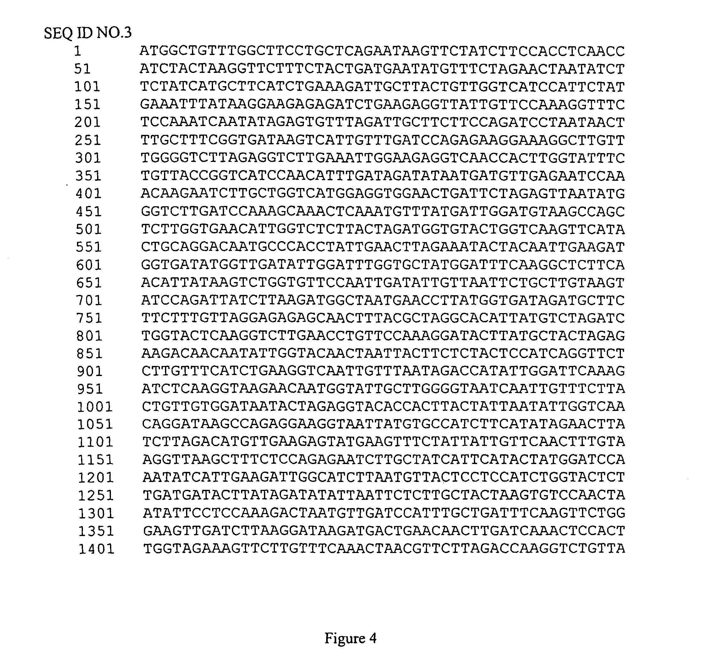 Methods and Compositions for Expressing Proteins In Plants