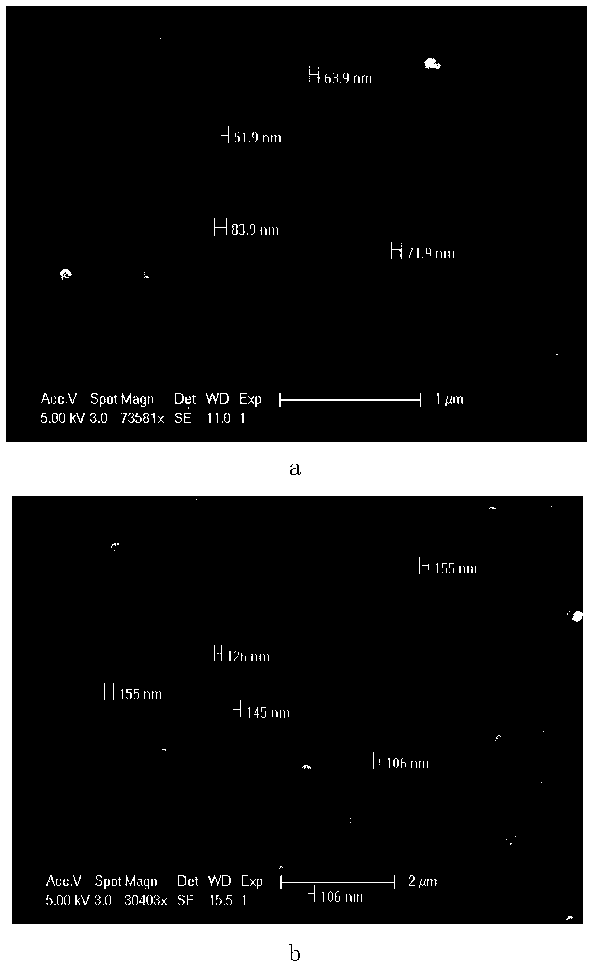 Nasal cavity nano autophagy inducer for preventing and treating early neurodegenerative diseases and preparation method thereof