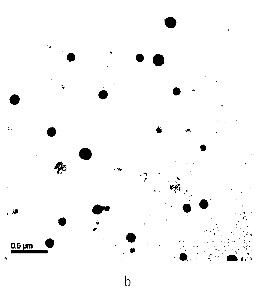 Nasal cavity nano autophagy inducer for preventing and treating early neurodegenerative diseases and preparation method thereof