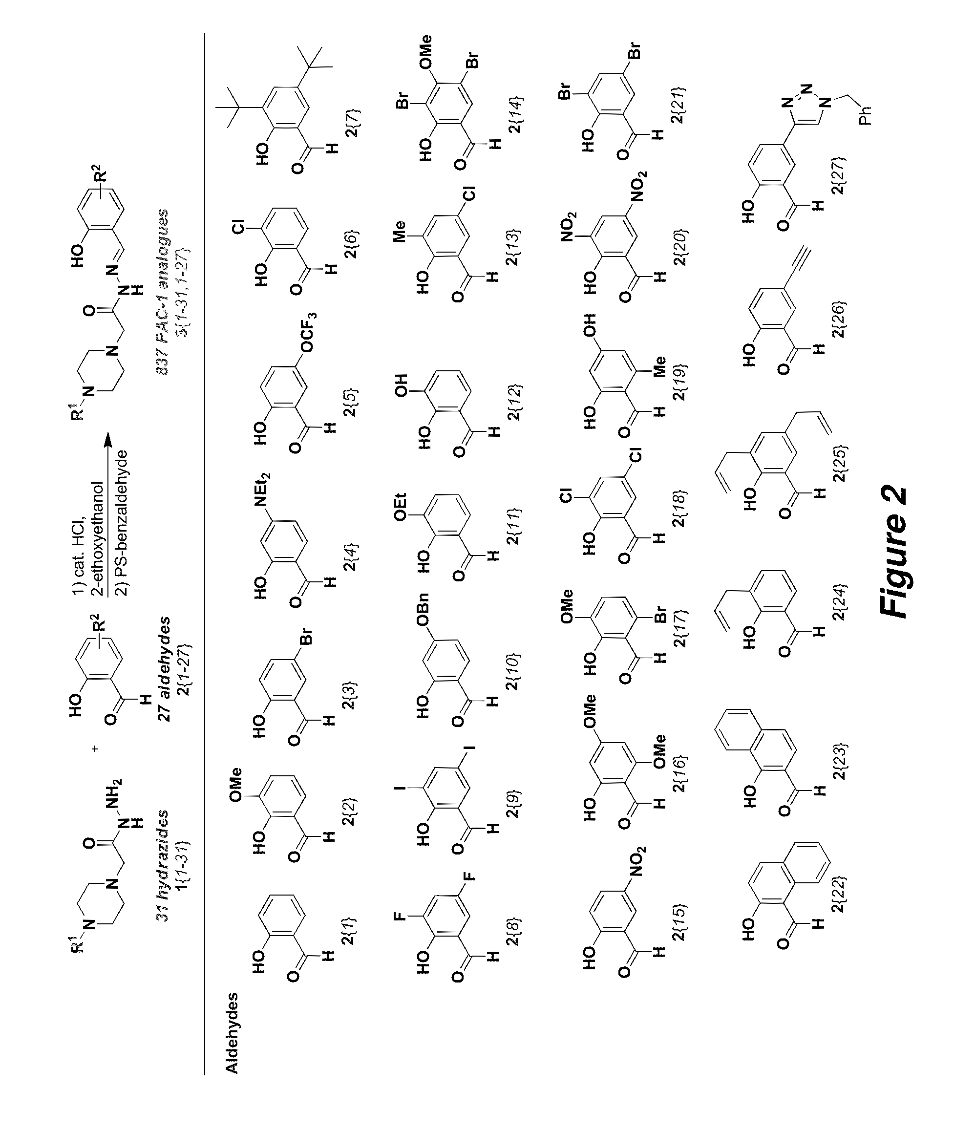 Procaspase-activating compounds and compositions