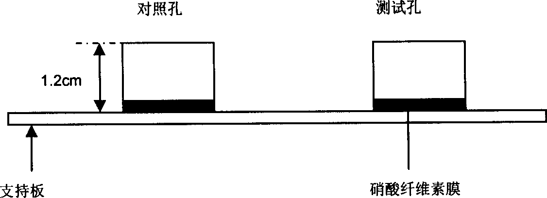 Quick test method fro detecting clenbuterol hydrochloride in animal derived food