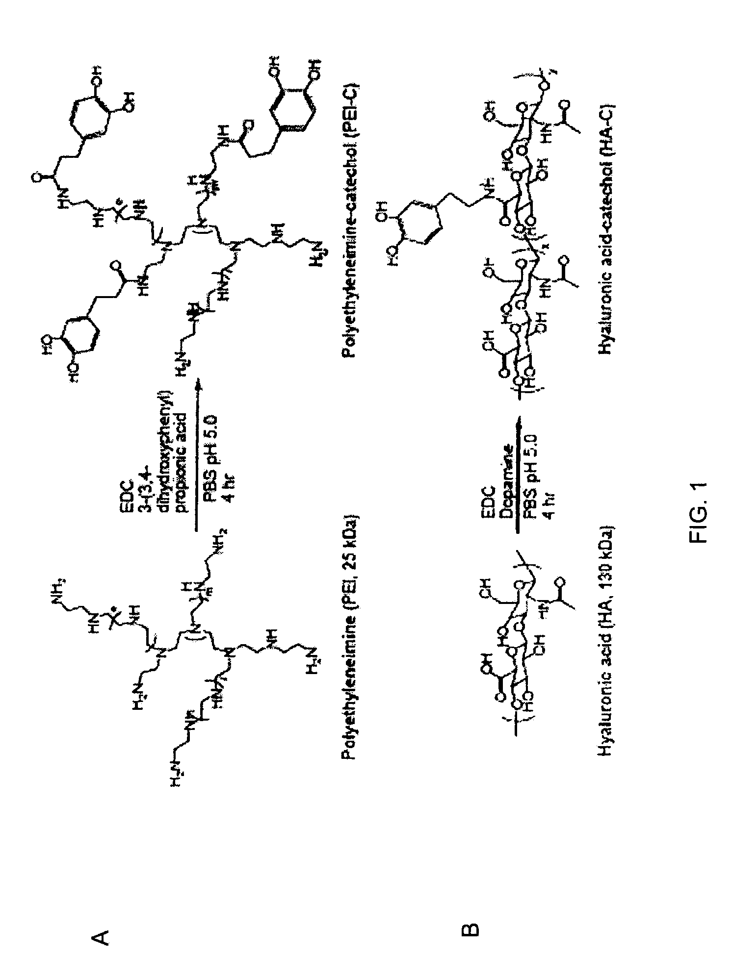 Substrate-Independent Layer-by-Layer Assembly Using Catechol-Functionalized Polymers