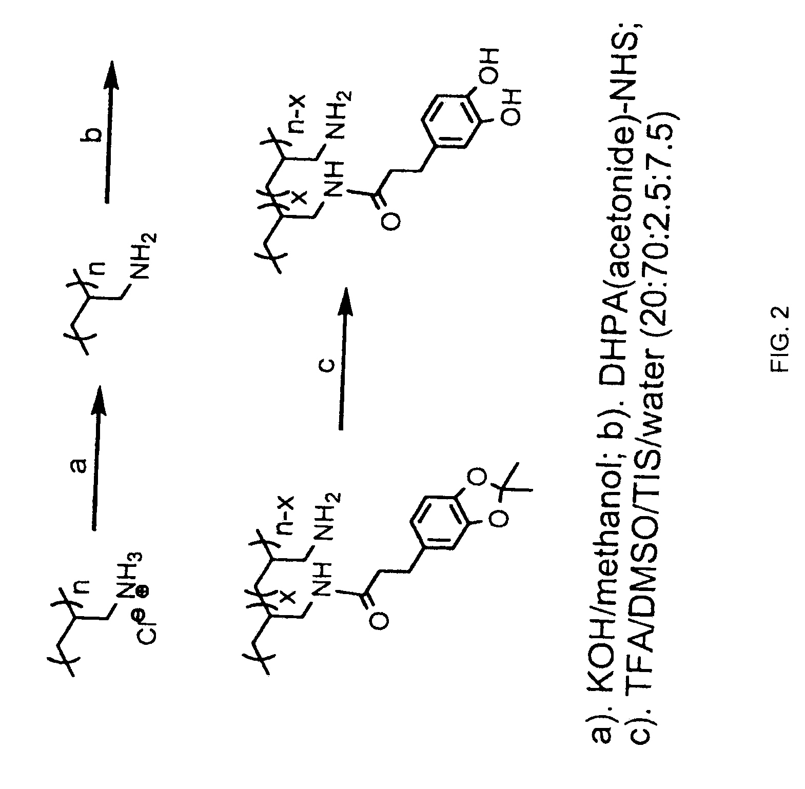 Substrate-Independent Layer-by-Layer Assembly Using Catechol-Functionalized Polymers