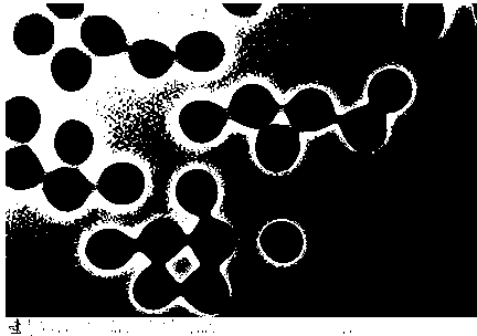 Method for preparing PMMA (Polymethyl Methacrylate) microsphere with core-shell structure through soap-free emulsion polymerization