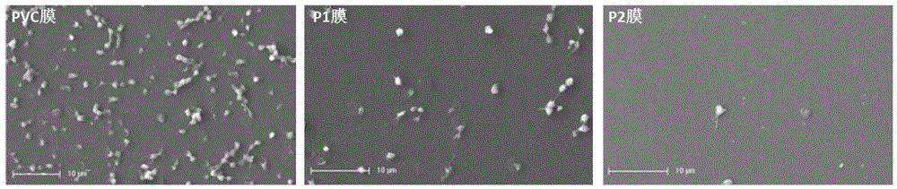 Nonionic functional vinyl chloride polymer and preparation method thereof